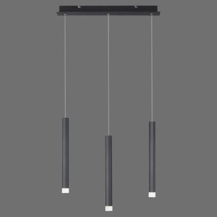 Leuchten Direkt 15203-18 - LED Hängeleuchte 3xLED/4,8W/230V schwarz