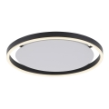 Leuchten Direkt 15391-13 - LED dimmbare Deckenleuchte RITUS LED/20W/230V schwarz