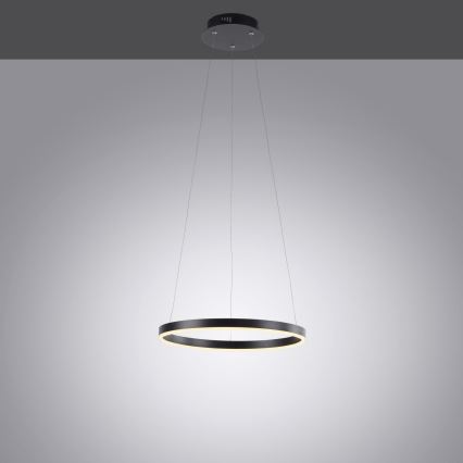 Leuchten Direkt 15393-13 - LED dimmbare Hängeleuchte an Seil RITUS LED/20W/230V schwarz