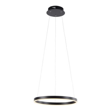 Leuchten Direkt 15393-13 - LED-dimmbarer Pendelleuchter an Seil RITUS LED/23,5W/230V schwarz