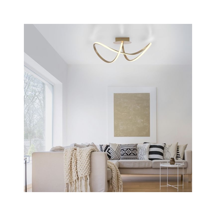 Leuchten Direkt 15403-60 – Dimmbare LED-Aufbauleuchte MARIA LED/15,5W/230V