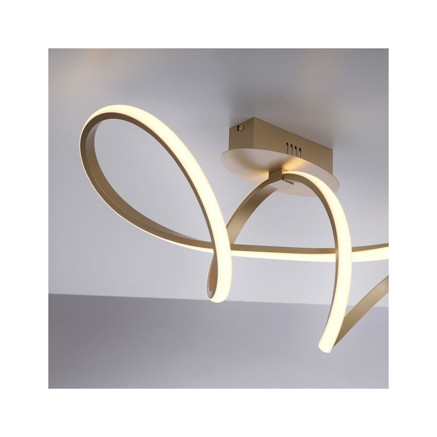 Leuchten Direkt 15403-60 – Dimmbare LED-Aufbauleuchte MARIA LED/15,5W/230V