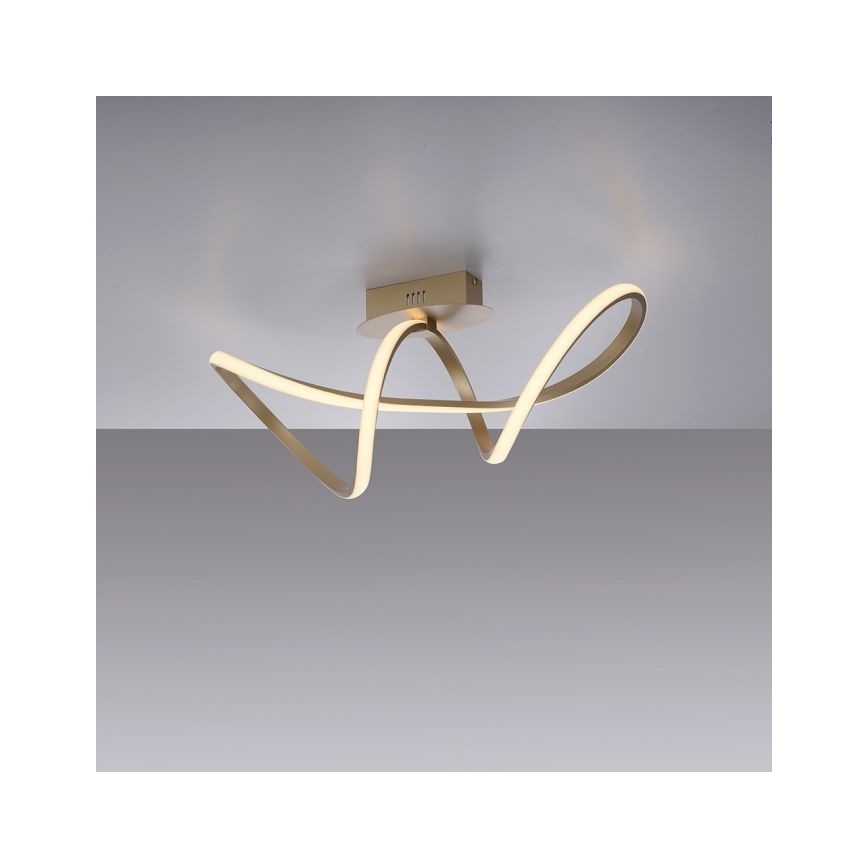 Leuchten Direkt 15403-60 – Dimmbare LED-Aufbauleuchte MARIA LED/15,5W/230V