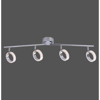 Leuchten Direkt L10504-17 - LED-Anbauleuchte ANGELO 4xLED/3,5W/230V