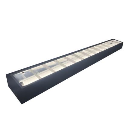 Leuchtstofflampe T8 2xG13/18W/230V 120 cm schwarz