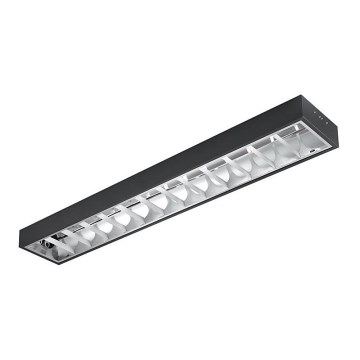 Leuchtstofflampe T8 2xG13/18W/230V 120 cm schwarz