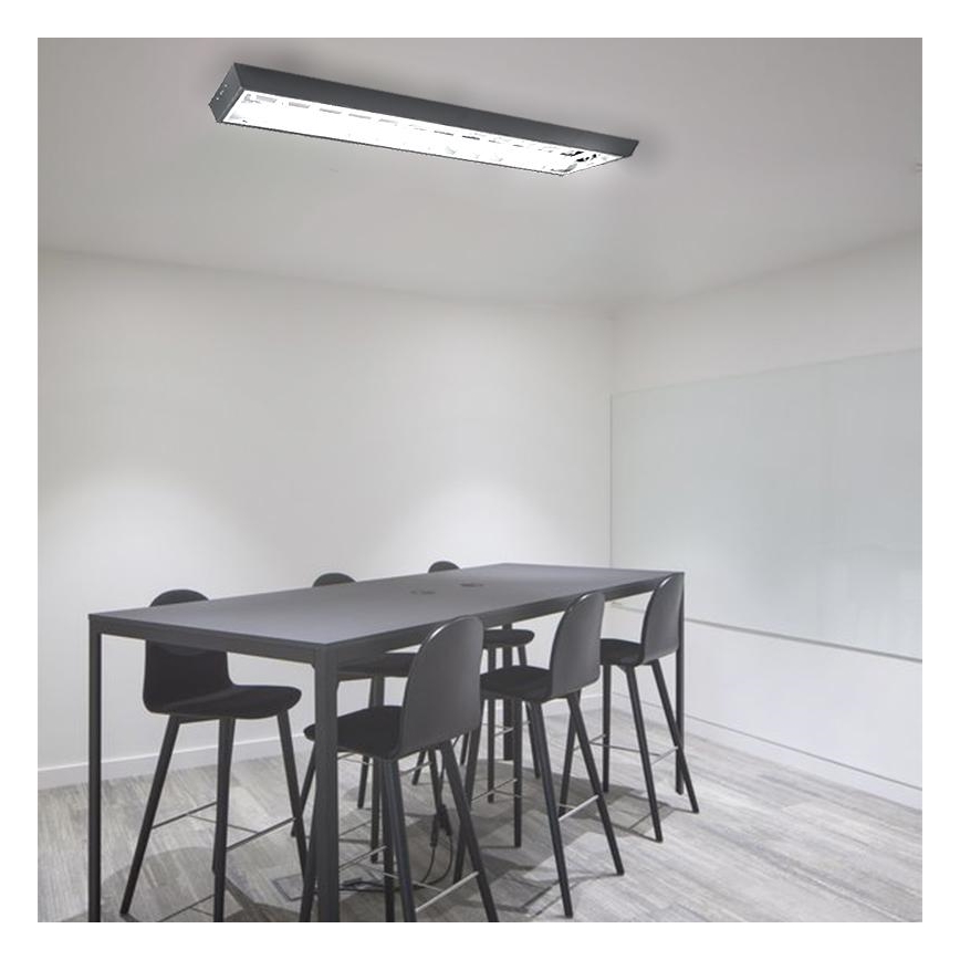 Leuchtstofflampe T8 2xG13/18W/230V 120 cm schwarz