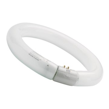 Leuchtstoffröhre CIRCLINE T9 G10q/22W/230V 4000K - Sylvania