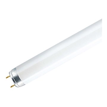 Leuchtstoffröhre G13/18W/230V 6500K