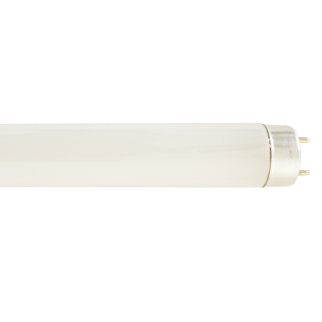 Leuchtstoffröhre KW G13 58 W kaufen - Lampen - LANDI