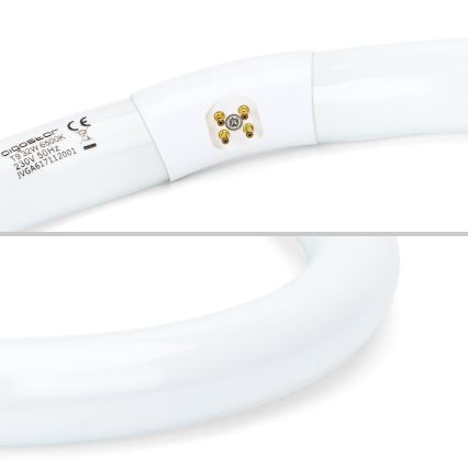 Leuchtstoffröhre T9 G10q/32W/230V 6500K - Aigostar