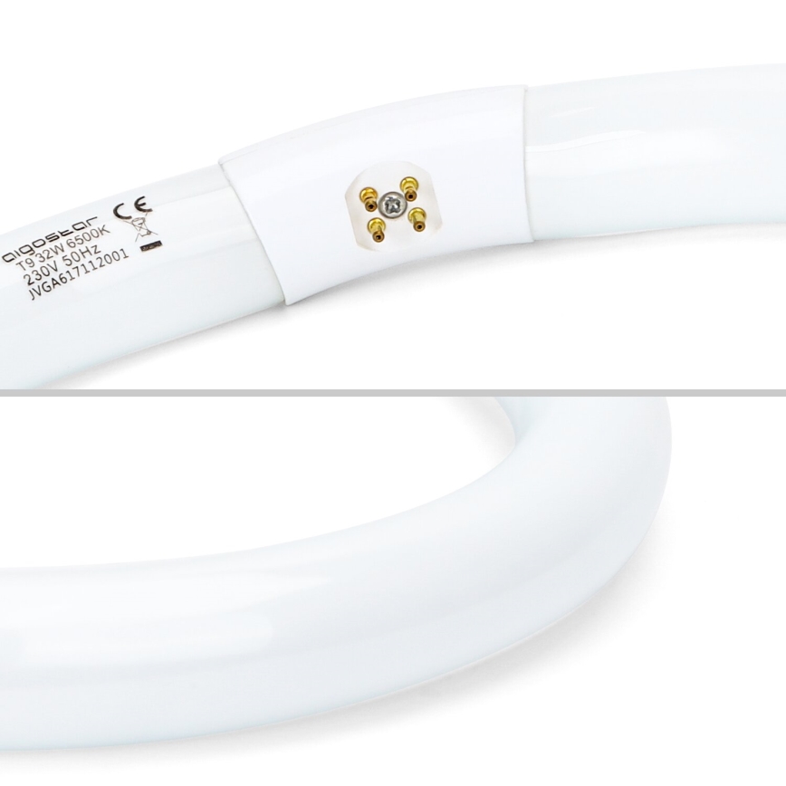 Leuchtstoffröhre T9 G10q/32W/230V 6500K - Aigostar