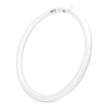 Leuchtstoffröhre T9 G10q/40W/230V 6500K - Aigostar