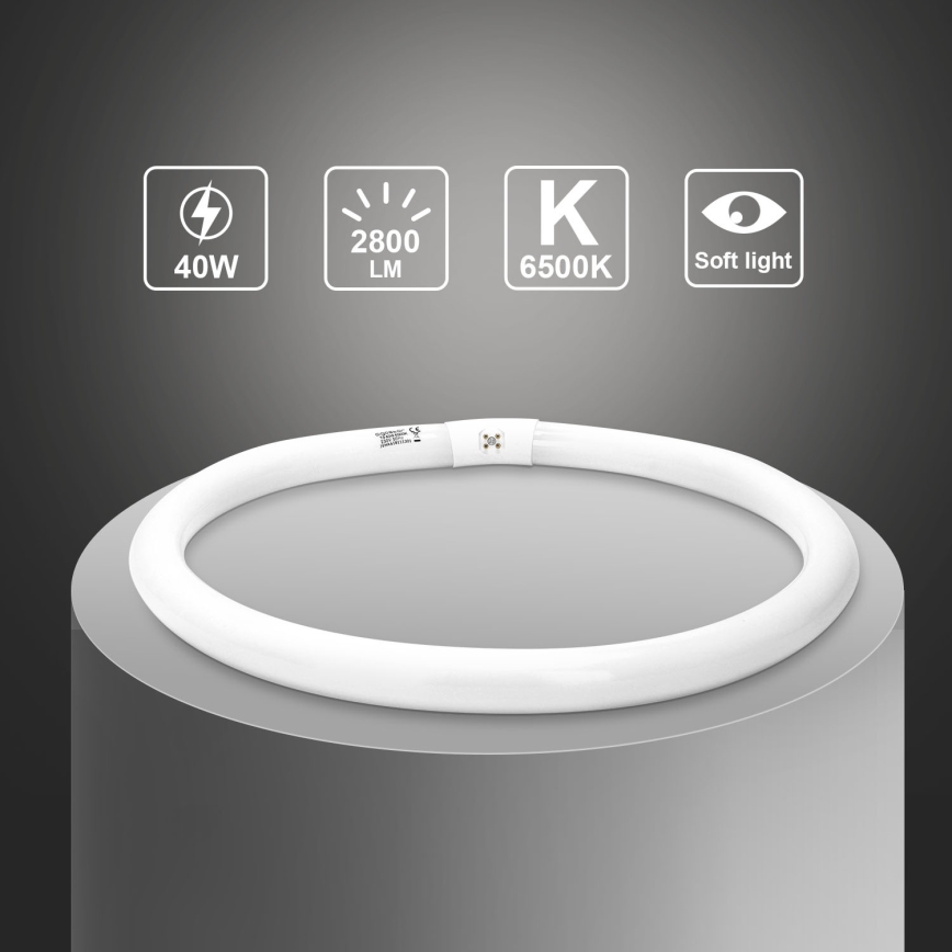 Leuchtstoffröhre T9 G10q/40W/230V 6500K - Aigostar