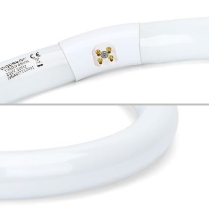 Leuchtstoffröhre T9 G10q/40W/230V 6500K - Aigostar