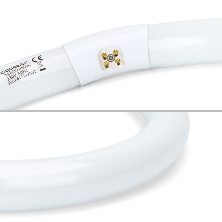 Leuchtstoffröhre T9 G10q/40W/230V 6500K - Aigostar