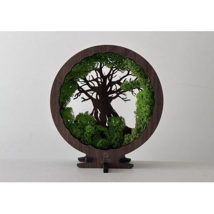 Li-Go 23604/DUB2 - dimmbare LED Tischdekoration LED/12W/230V 20x22 cm Eiche/Moos und Baum