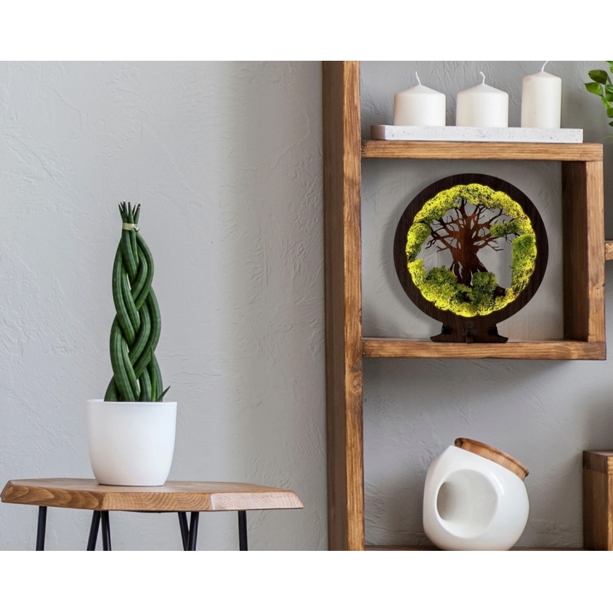 Li-Go 23631/DUB2 - dimmbare LED-Tischdekoration LED/12W/230V 30x31 cm Eiche/Moos und Baum