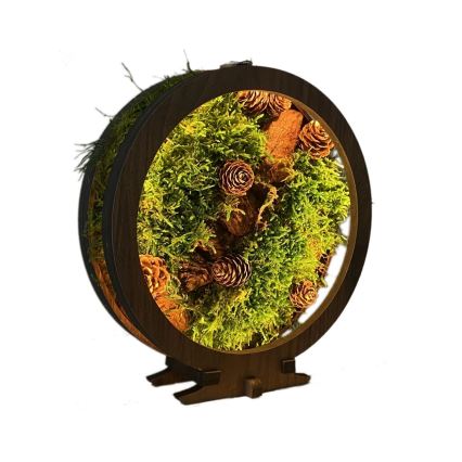 Li-Go 23654 - Dimmbare LED-Tischleuchte LED/12W/230V 20x22 cm Walnuss/Moosmotiv