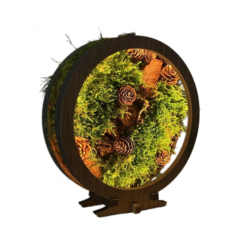 Li-Go 23654 - Dimmbare LED-Tischleuchte LED/12W/230V 20x22 cm Walnuss/Moosmotiv