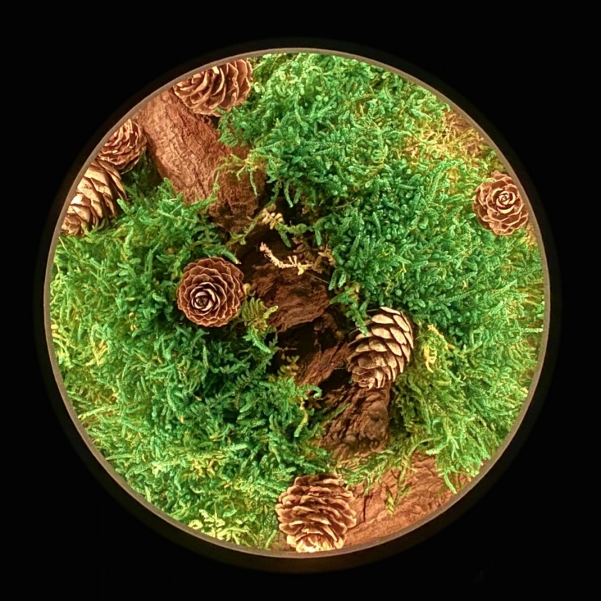 Li-Go 23654 - Dimmbare LED-Tischleuchte LED/12W/230V 20x22 cm Walnuss/Moosmotiv