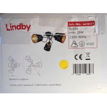 Lindby - Aufbauleuchte SINDRI 3xE14/25W/230V