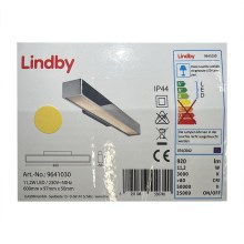 Lindby - LED-Badezimmerspiegelbeleuchtung KIANA LED/11,2W/230V IP44