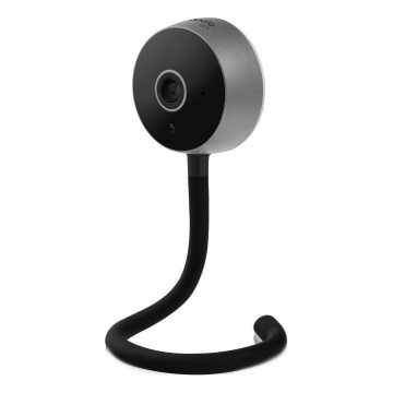 Lionelo - Intelligentes Babyphone BABYLINE SMART Wi‑Fi Schwarz