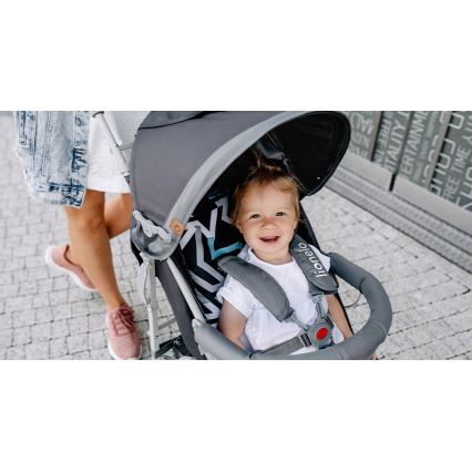 Lionelo - Kinderwagen ELIA grau