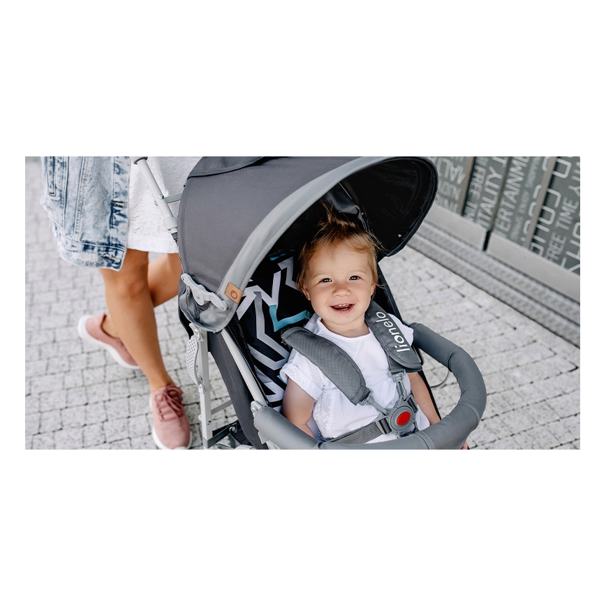 Lionelo - Kinderwagen ELIA grau