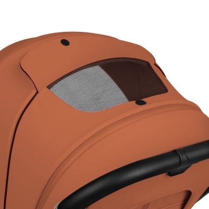 Lionelo - Kombi-Kinderwagen 2-in-1 MIKA PLUS Brown Rust