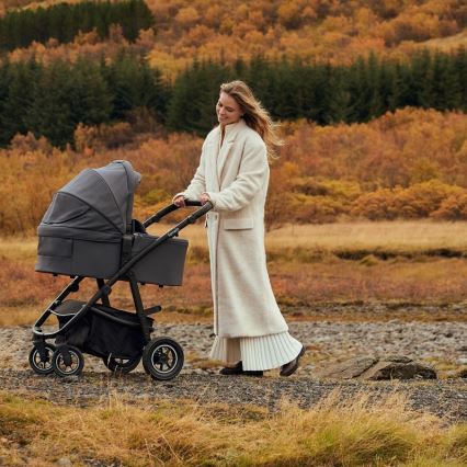 Lionelo - Kombi-Kinderwagen 3-in-1 AMBER PLUS Grau Graphit