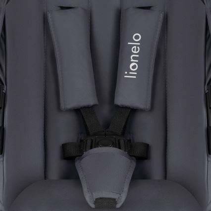 Lionelo - Kombi-Kinderwagen 3-in-1 AMBER PLUS Grau Graphit