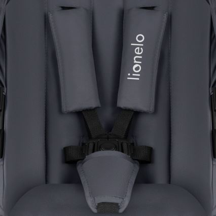 Lionelo - Kombinierter Kinderwagen 2-in-1 AMBER PLUS Grau Graphit