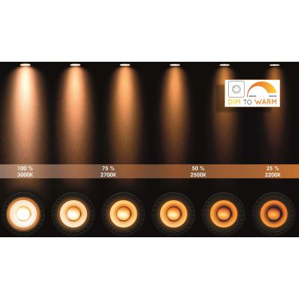 Lucide 23954/21/31 - LED Dimmbares Einbauleuchte XYRUS 4xGU10/5W/230V