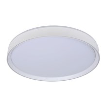 Lucide 79182/36/31 - LED dimmbare Deckenleuchte NURIA LED/36W/230V