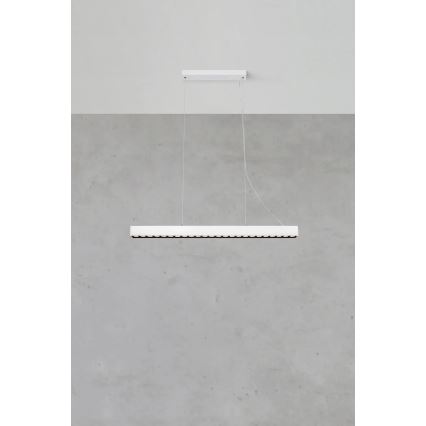Markslöjd 108892 - Dimmbare LED-Pendelleuchte mit Seilaufhängung PLANO LED/38W/230V weiß