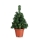 Markslojd 703970 - Weihnachtsbaum MAGGI LED/0,8W/3xAA grün 50cm