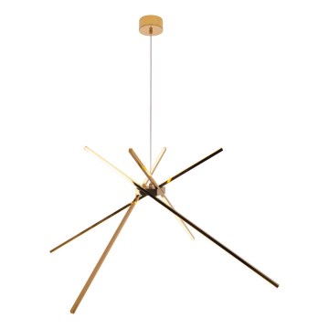 MAXLIGHT P0457 - LED-Hängeleuchte SPINNE LED/33W/230V golden