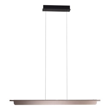 MAXLIGHT P0597 - LED dimmbarer Seil-Pendelleuchte JO-JO LED/40W/230V 2700/4500/5500K Anthrazit