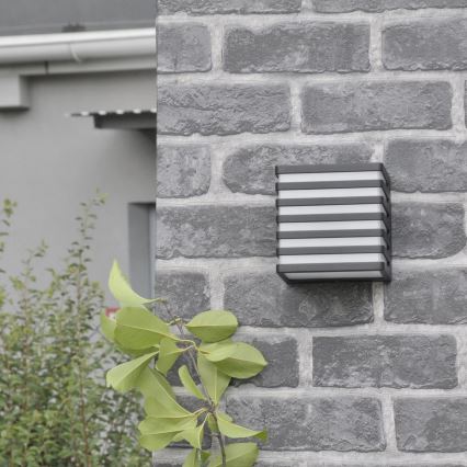 LED Außenwandleuchte MAXWELL LED/10W/230V IP54 Anthrazit