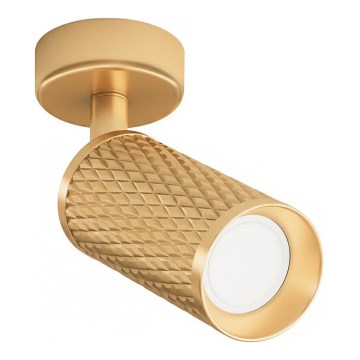 Maytoni C034CL-01G - Spotleuchte FOCUS 1xGU10/10W/230V goldfarben