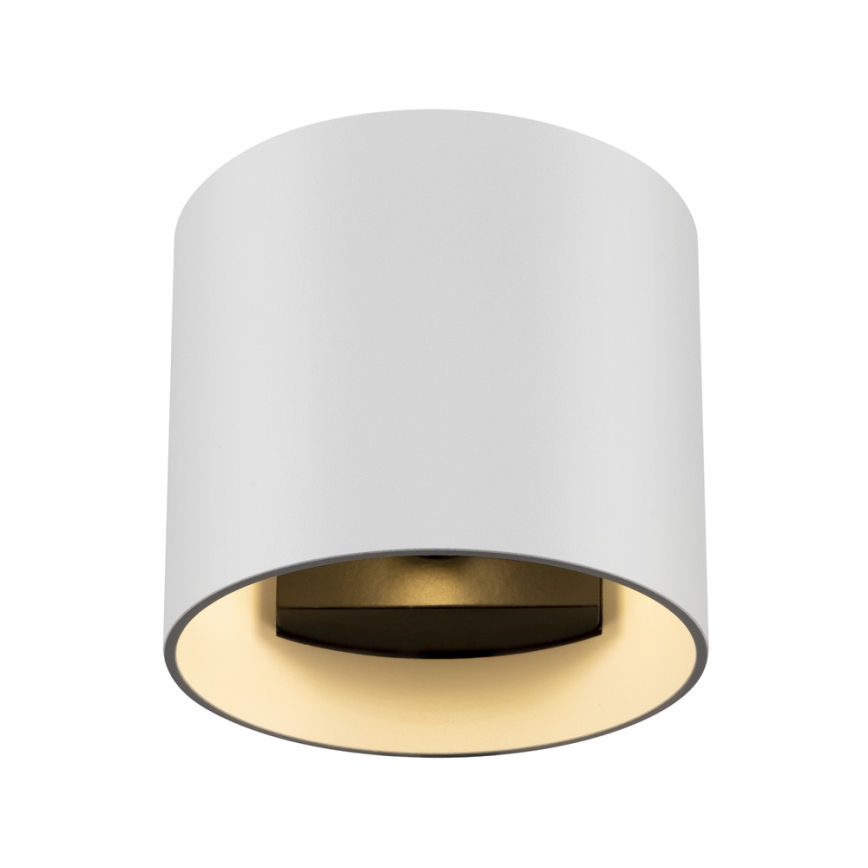 Maytoni C066WL-01W - Wandleuchte ROND 1xG9/50W/230V weiß