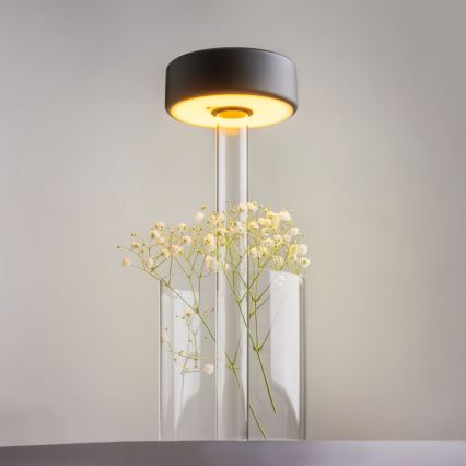 Maytoni MOD229TL-L3B3K1 - Dimmbare, aufladbare LED-Tischleuchte (tragbar) LED/3W/5V 2200-4000K schwarz/klar