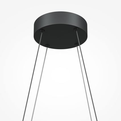 Maytoni MOD244PL-L50BK - HALO LED-Pendelleuchte mit Seilaufhängung, LED/40W/230V, schwarz