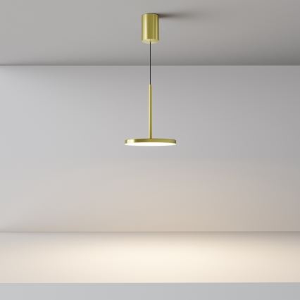 Maytoni P076PL-L12W3K-BS - LED-Hängeleuchte PLATO LED/12W/230V 3000K golden
