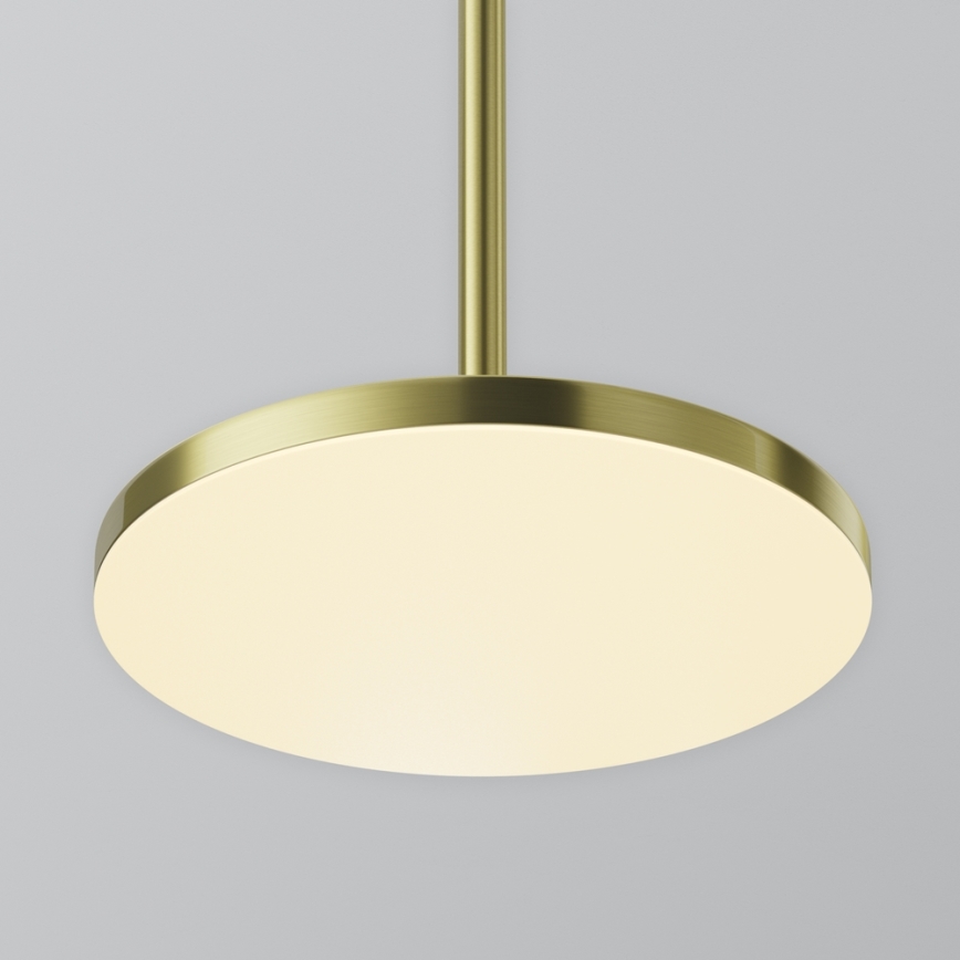 Maytoni P076PL-L12W3K-BS - LED-Hängeleuchte PLATO LED/12W/230V 3000K golden