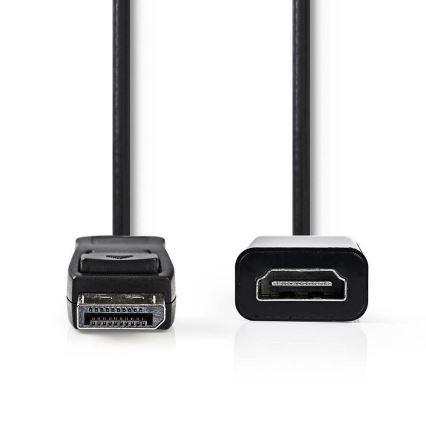 HDMI-Kabel DisplayPort-Stecker - HDMI-Ausgang 0,2 m