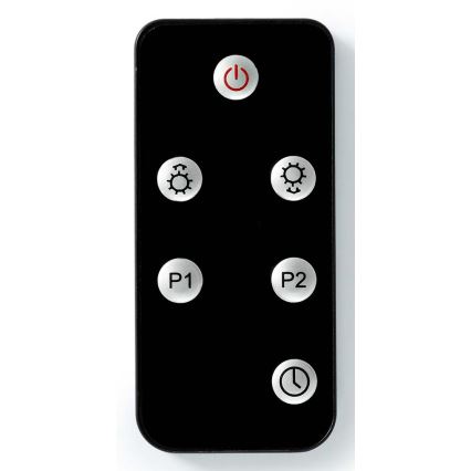 Outdoor-Heizelement 100W/2000W/230V IP65 + Fernbedienung