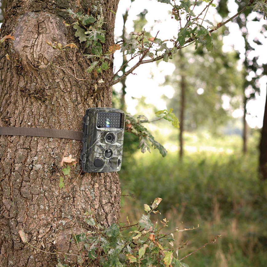 Wildkamera mit Sensor 24MP Full HD 8xAA IP66